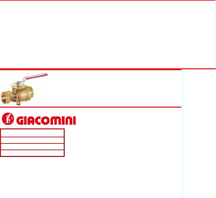 GIACOMINI A61Y080 2” groove X 2” Groove Rough Brass-Test And Drain ORIFICE 7/16” 